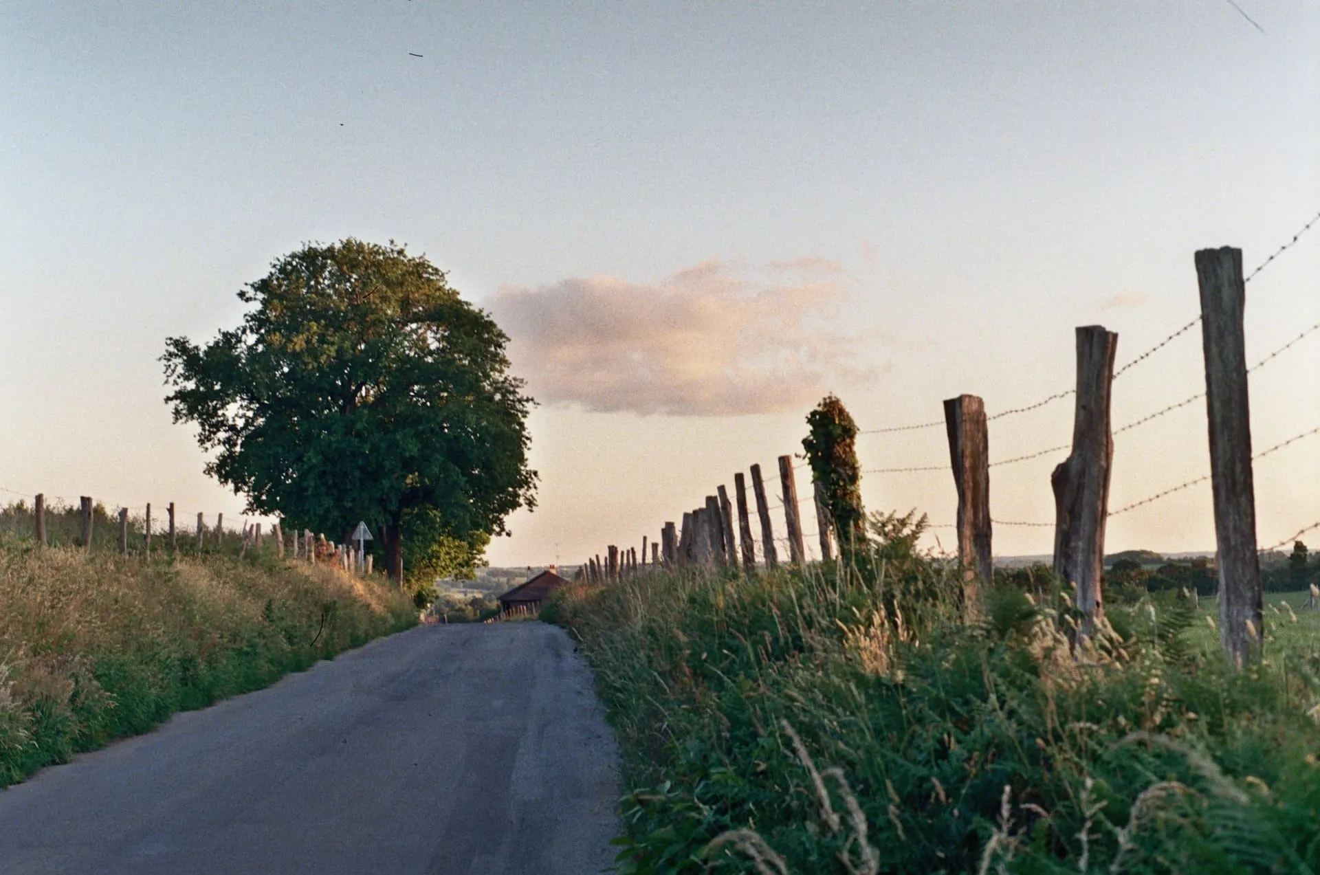 Eine leere, von Bäumen gesäumte Straße durch französisches Ackerland